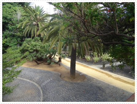 Inside the park in Tenerife Inside the park in Tenerife